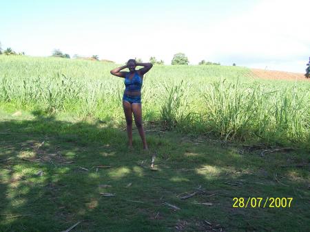 maways 