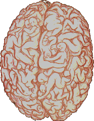 LE CERVEAU KI REFLECHI TRO